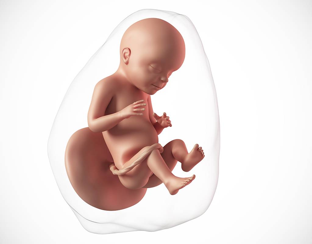 27 неделя беременности: что происходит с женщиной и ребенком