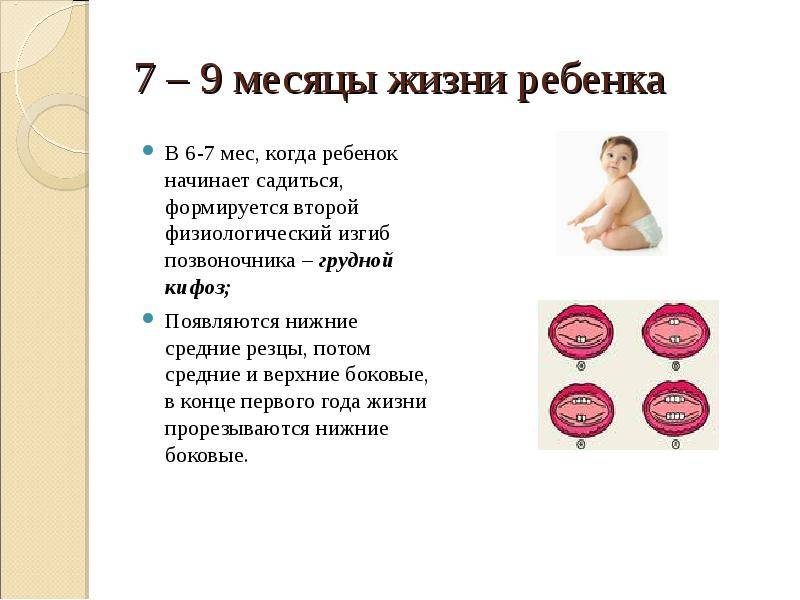 Когда ребенок начинает ползать: во сколько месяцев девочки и мальчики ползают на четвереньках, по-пластунски, на животе / mama66.ru