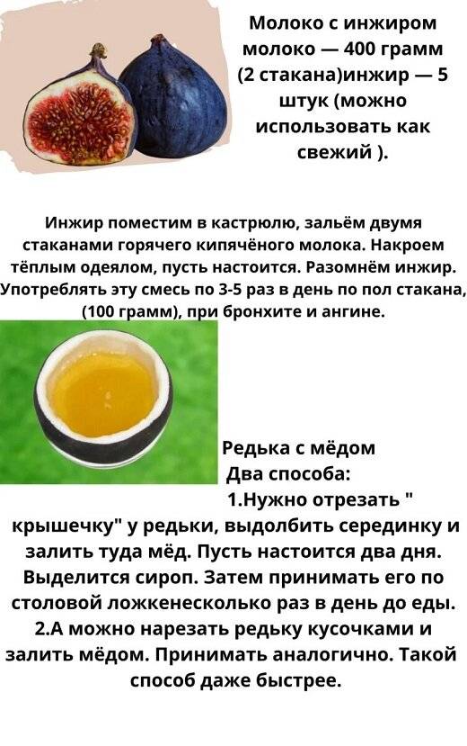 Народные средства от кашля - как приготовить, применить
