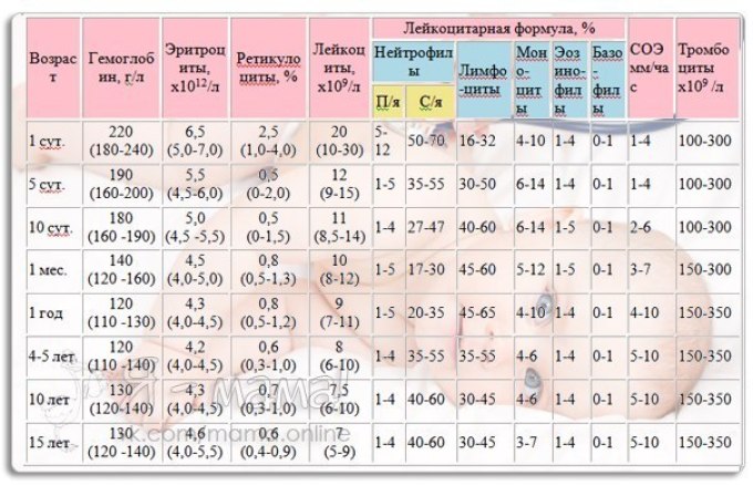 Как берется общий анализ крови у грудничка, нормы крови, расшифровка