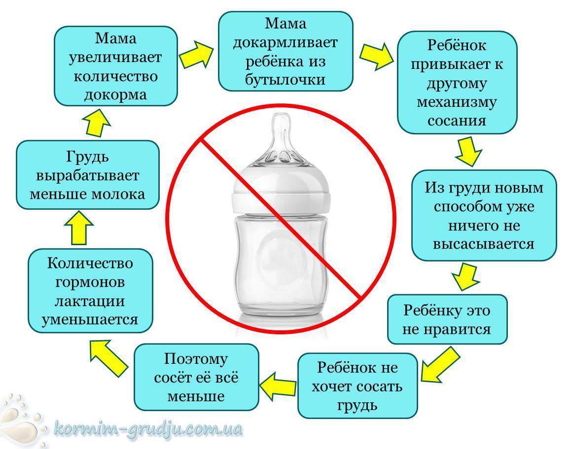 Гиперлактация: когда молока слишком много | мамин маяк