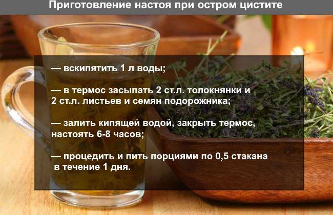 Чем можно вылечить цистит при грудном вскармливании?