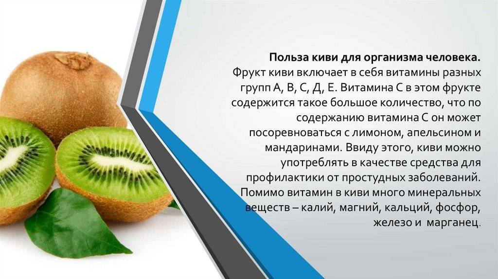 Киви при беременности: польза и вред, можно ли есть на ранних и поздних сроках, противопоказания
