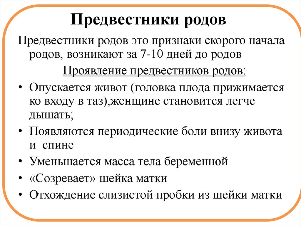 41 неделя беременности