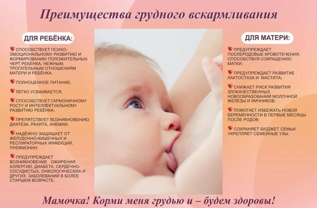 100 полезных советов кормящей маме