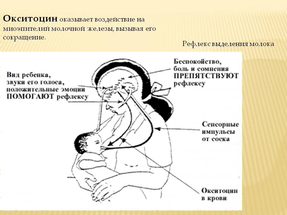 Окситоцин. инструкция по применению. справочник лекарств, медикаментов, бад