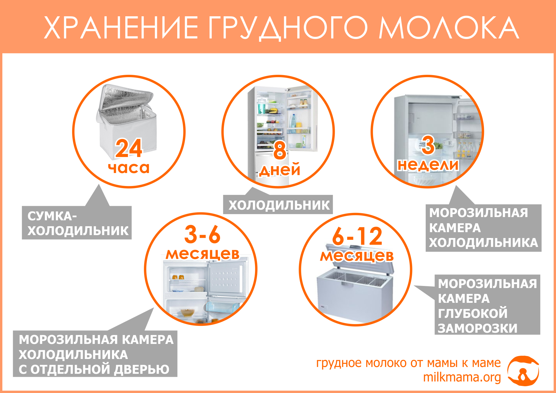 Как сцеживать грудное молоко руками правильно. сколько хранится грудное молоко в холодильнике - medside.ru