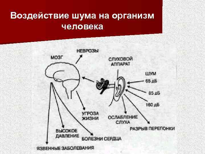 Можно ли беременным ходить в кинотеатр и опасно ли это для ребенка?