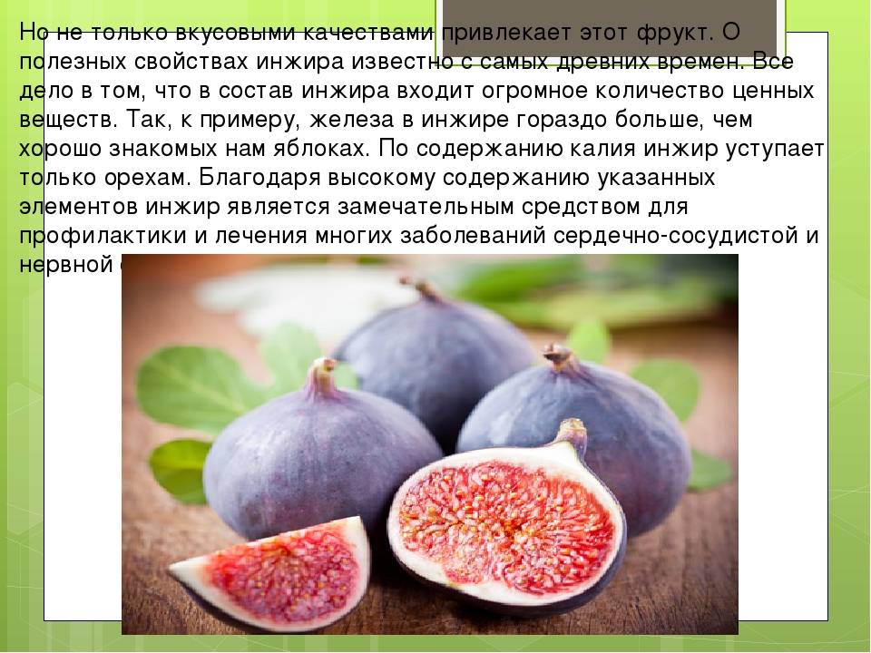 Инжир детям: можно ли давать обычный или сушеный?