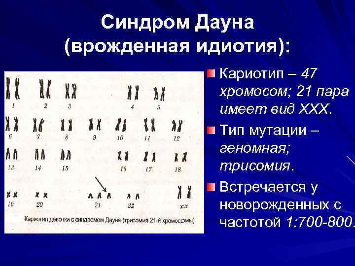Синдром дауна: мифы и факты – nakedheart.online