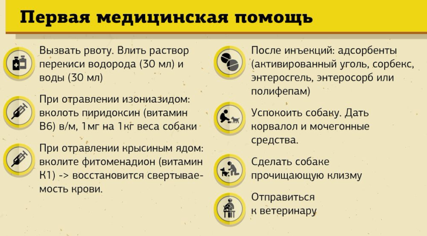 Что можно давать после рвоты. Рвота при отравлении у собаки. Первая помощь щенку при отравлении. Отравление животных первая помощь. Первая помощь при отравлении животных.