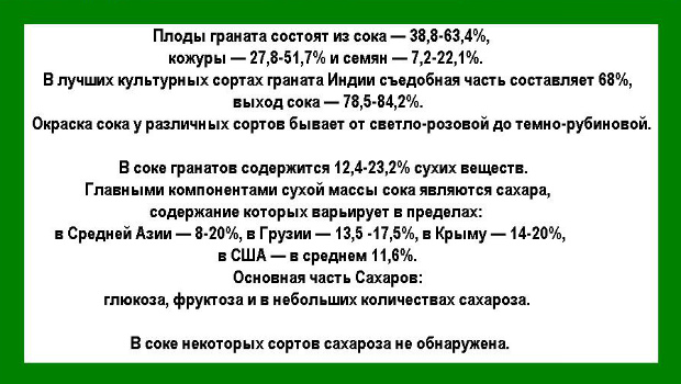 Можно ли есть гранат кормящей маме