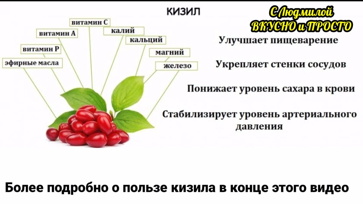 Кизил: польза и вред для организма, рецепты приготовления на зиму