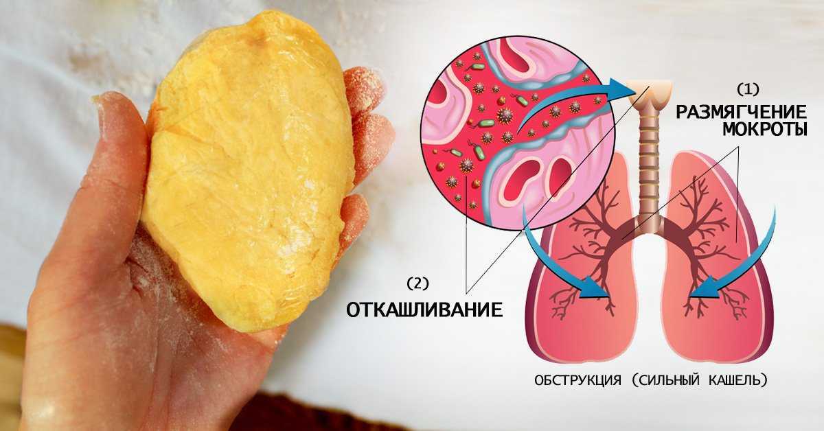 Медовая лепешка детям. Лепешка от кашля. Лепешка от бронхита для детей. Лепёшка от кашля для детей. Медовая лепёшка от кашля.