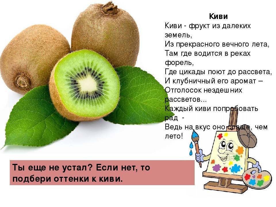С какого возраста можно qiwi