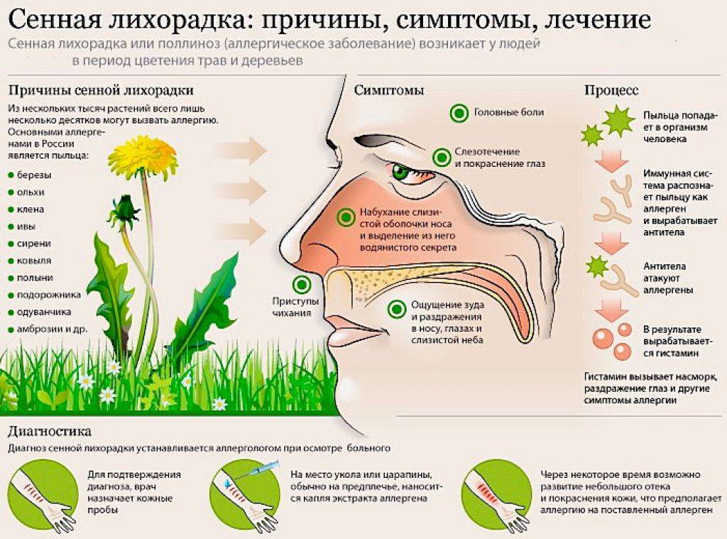Поллиноз у детей - симптомы болезни, профилактика и лечение поллиноза у детей, причины заболевания и его диагностика на eurolab