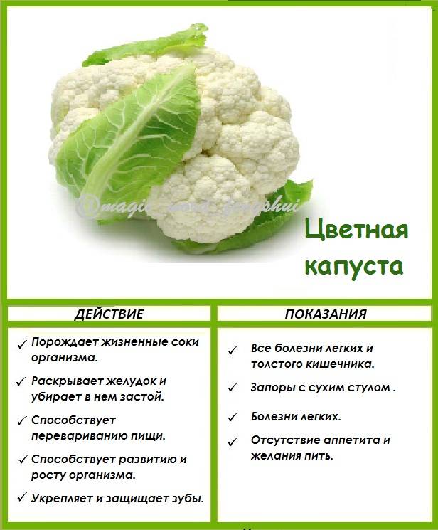 Цветная капуста при кормлении: полезные свойства