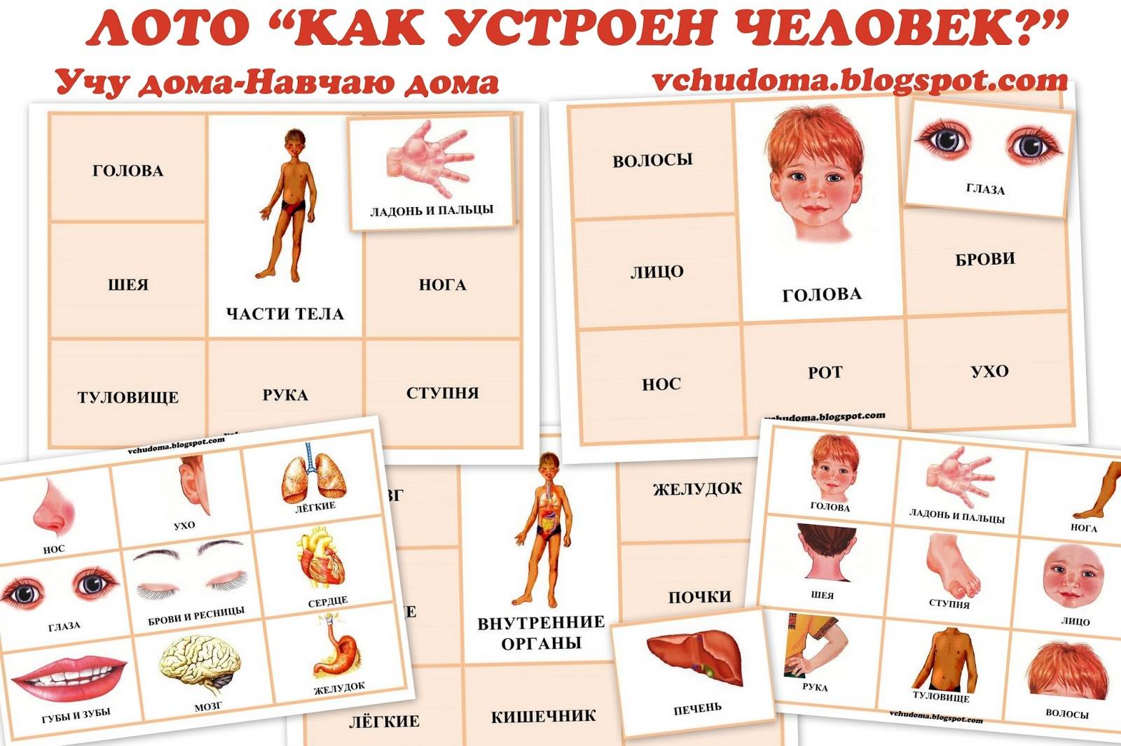 Изучаем части тела с малышами: варианты игр