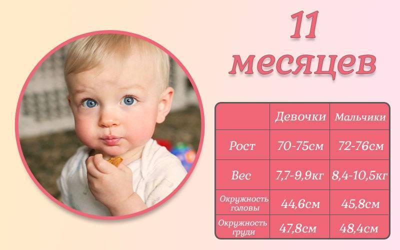 Ребенку 11 месяцев: развитие и что должен уметь малыш в этом возрасте | развитие 11 месячных детей