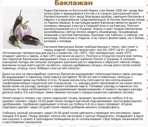 Можно ли баклажаны кормящей маме? список продуктов для кормящей