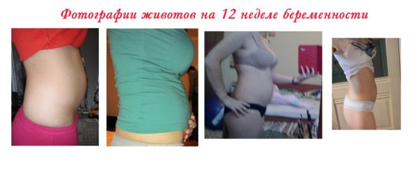 12 недель беременности [сколько это месяцев] – что происходит с малышом и мамой, как выглядит живот