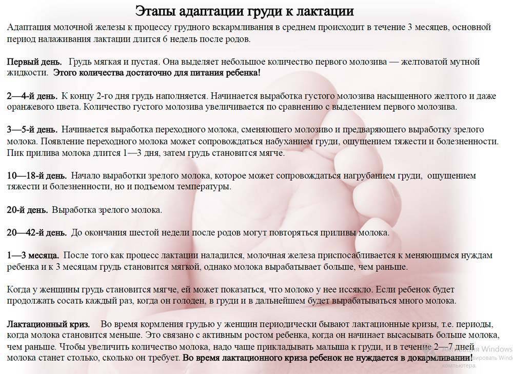 Больной вопрос: через сколько времени мамина еда попадает в грудное молоко? диета кормящей мамы