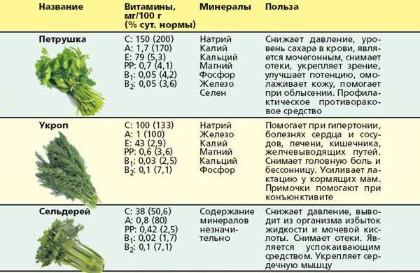 Укроп при беременности - польза и вред