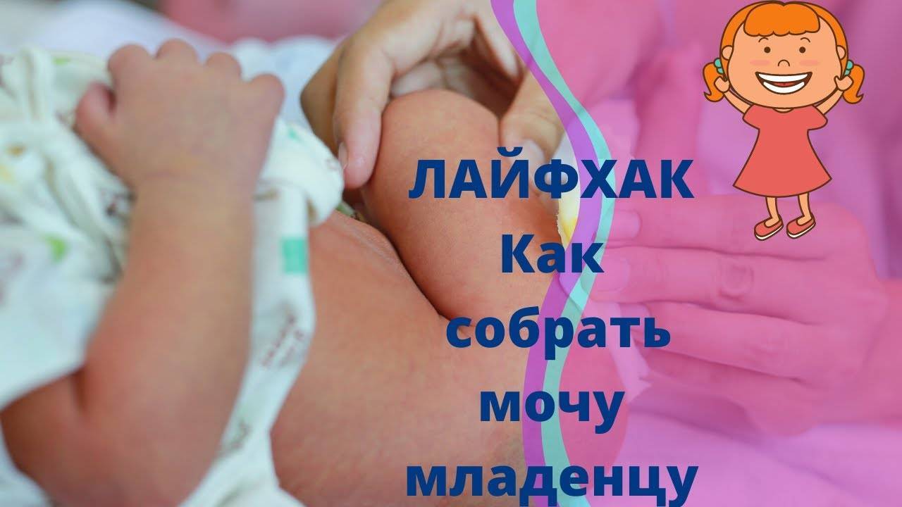 Как собрать анализы у грудничка – советы от heinz baby