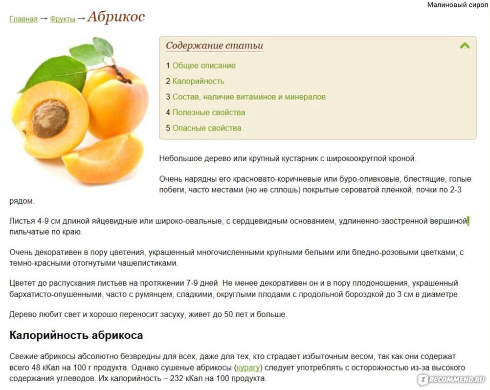 Абрикосы в меню кормящей мамы