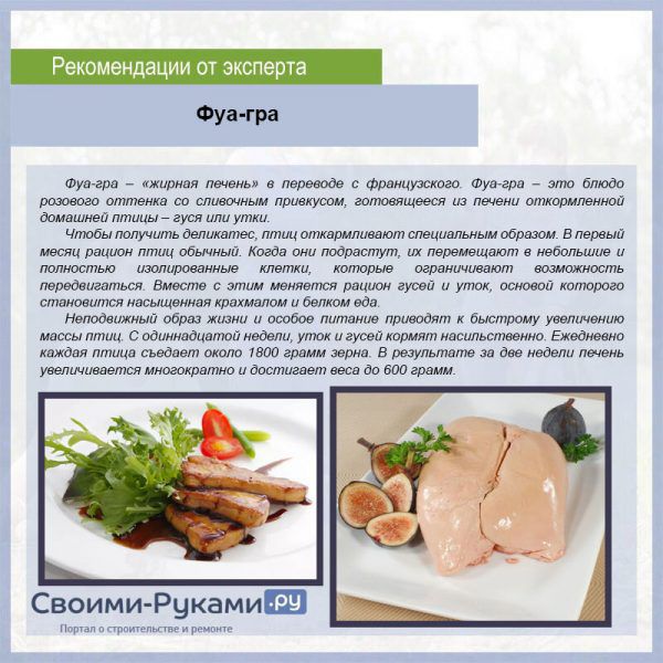 Чем можно кормить гусей