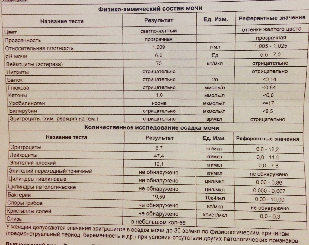Повышенные лейкоциты в моче у ребенка: причины и норма показателей