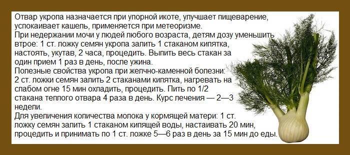 Как питаться кормящей маме в 3 месяца жизни малыша?