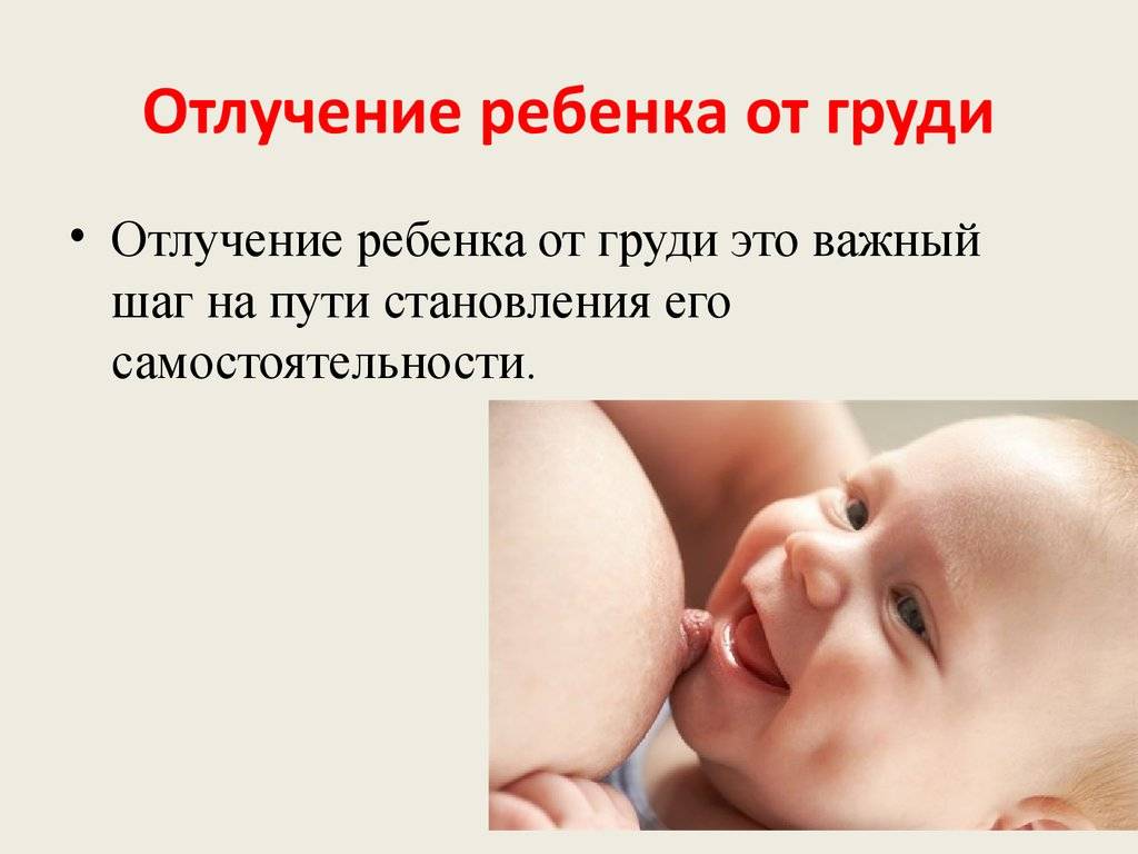 Тест: готов ли ваш ребенок к отлучению от груди?