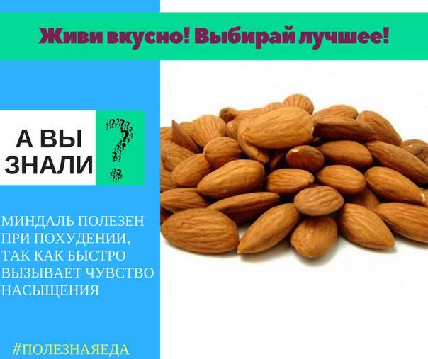 Миндаль при гв. Что полезного в миндале. Можно ли миндаль при похудении. Миндальный орех польза.