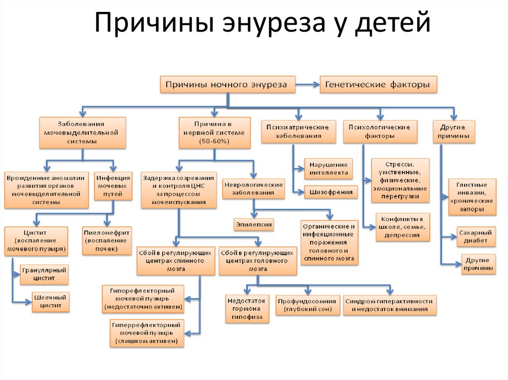 Энурез у детей: причины и лечение
