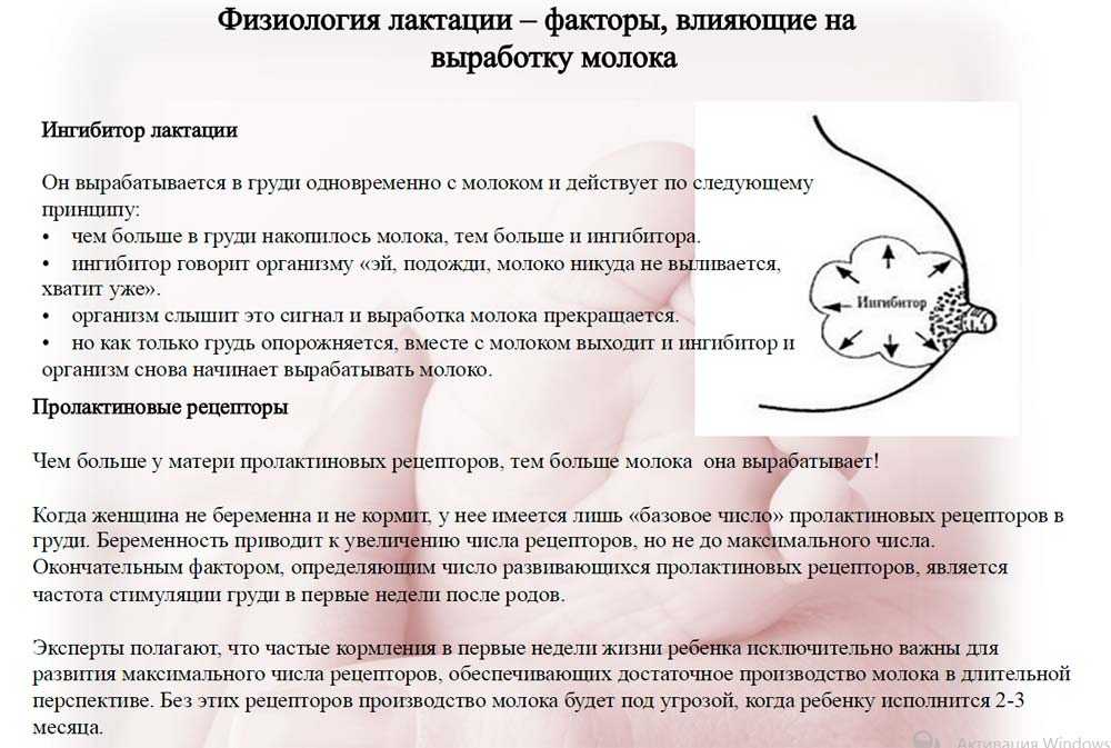 Температура тела кормящей матери — важный показатель её здоровья