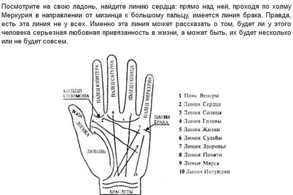 Сколько будет детей по дате рождения