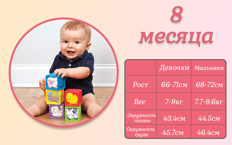 Что должны уметь мальчики и девочки в 8 месяцев: основные навыки ребенка