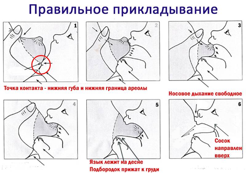Трещины на сосках: причины и секреты быстрого лечения