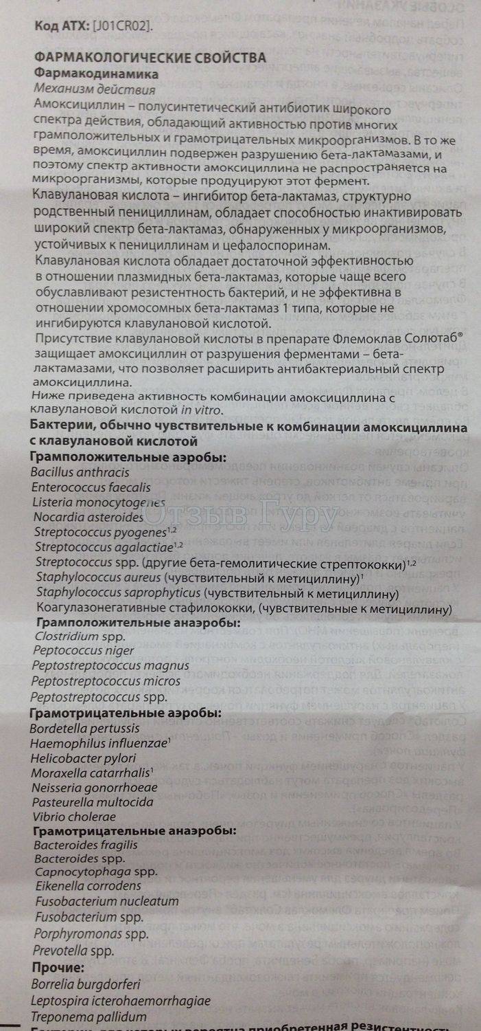 Флемоклав солютаб инструкция по применению показания, противопоказания, побочное действие
