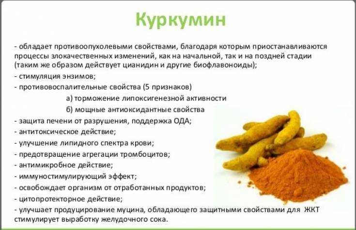 Куркума — польза и вред, рецепты применения для здоровья и красоты