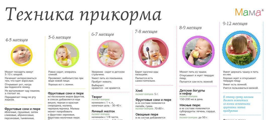 Основные принципы педагогического прикорма