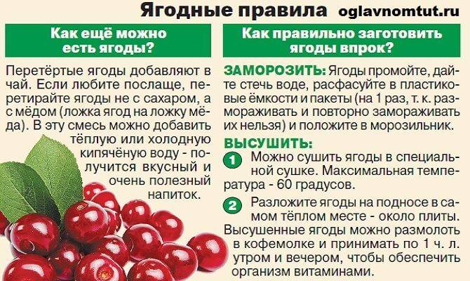 Можно ли черешню при грудном вскармливании