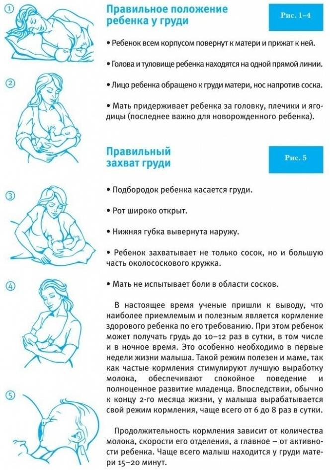 Позы для кормления грудью, фото поз кормления новорожденного ребенка грудью