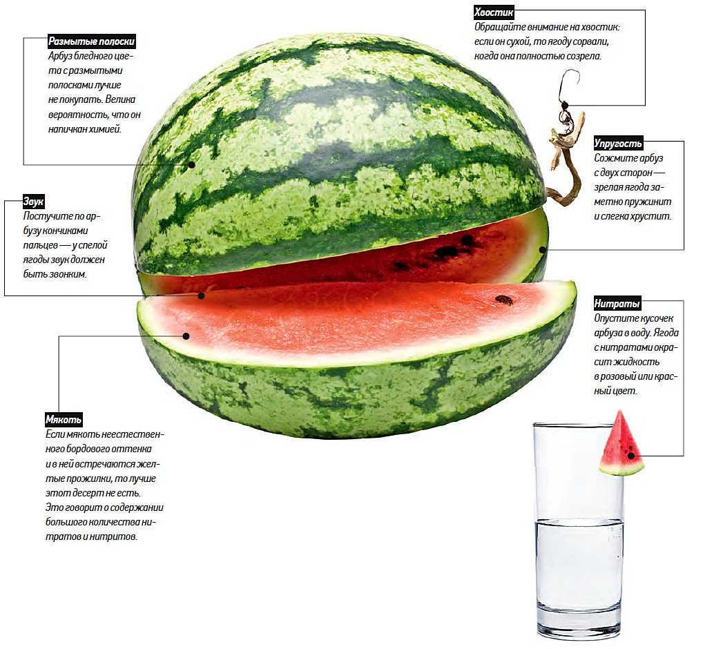 Можно ли арбуз после. Строение арбуза. Хороший Арбуз в разрезе. Настоящий Арбуз. Строение арбуза схема.