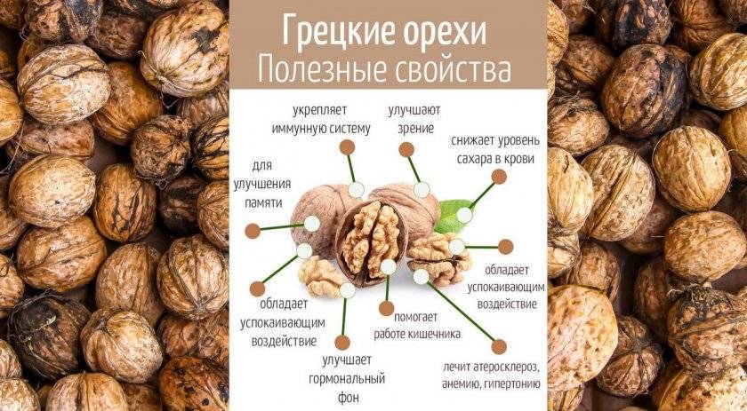 Сухофрукты и орехи при грудном вскармливании