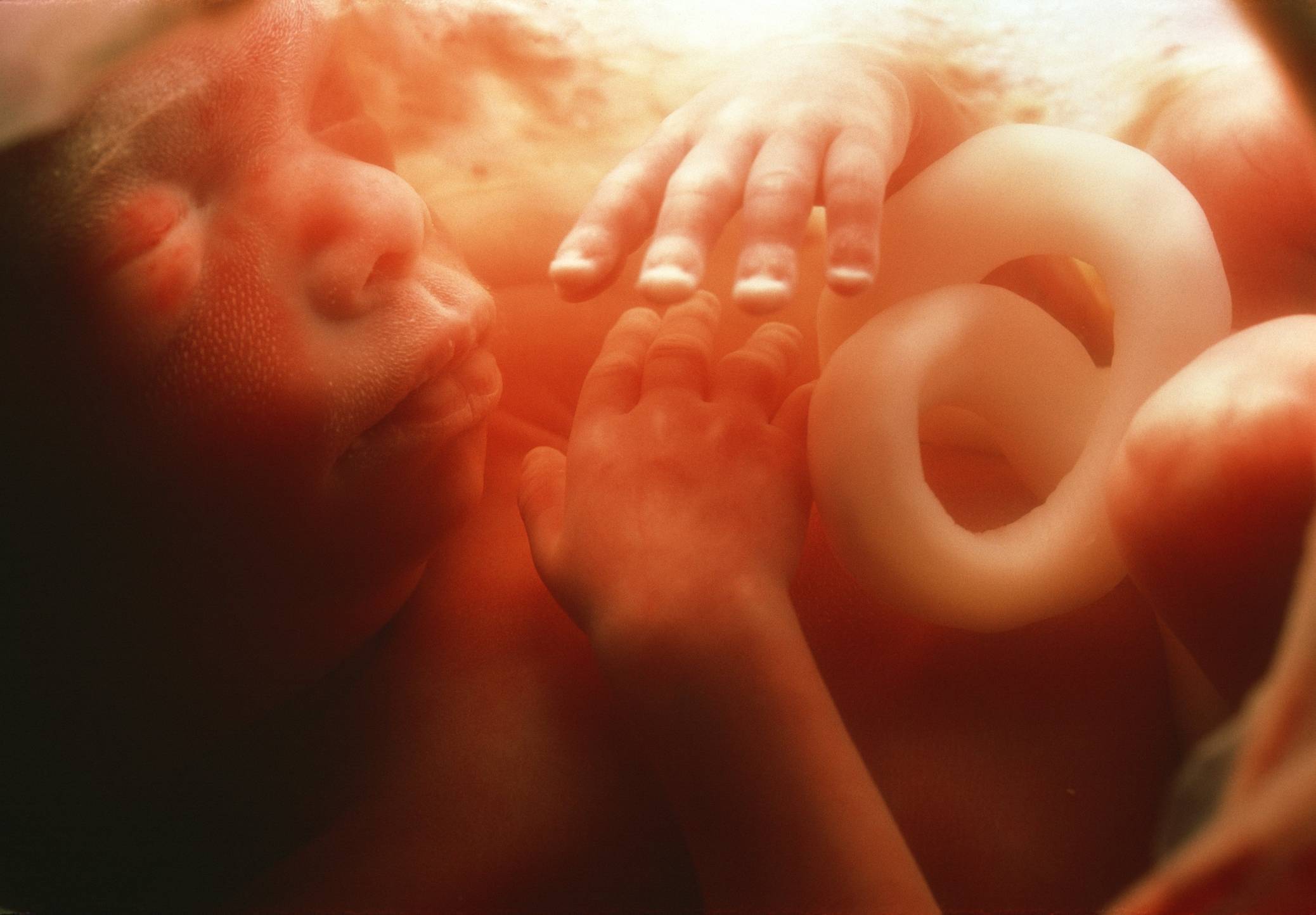 25 неделя беременности: ощущения, что происходит, узи