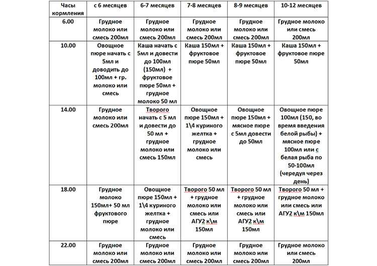 Схема кормления в 6 месяцев