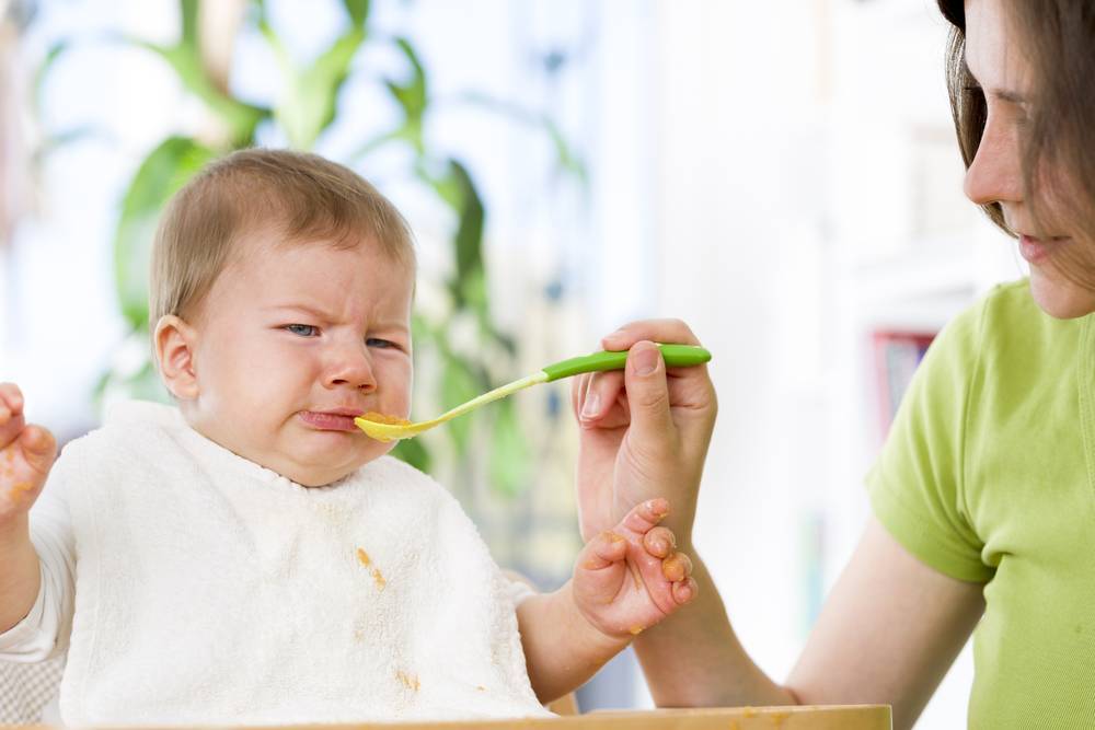 Ребенок жует и выплевывает еду. что делать, если ребенок плюется. отличия разных систем питания