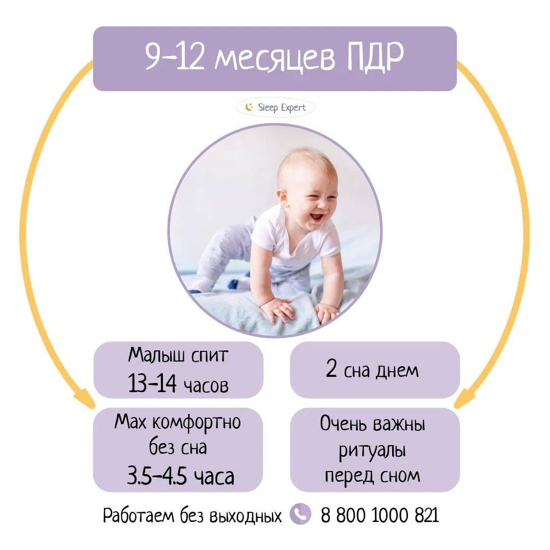 Режим дня 10 месячного ребенка: сколько он должен спать, режим кормления и прочие вопросы + фото